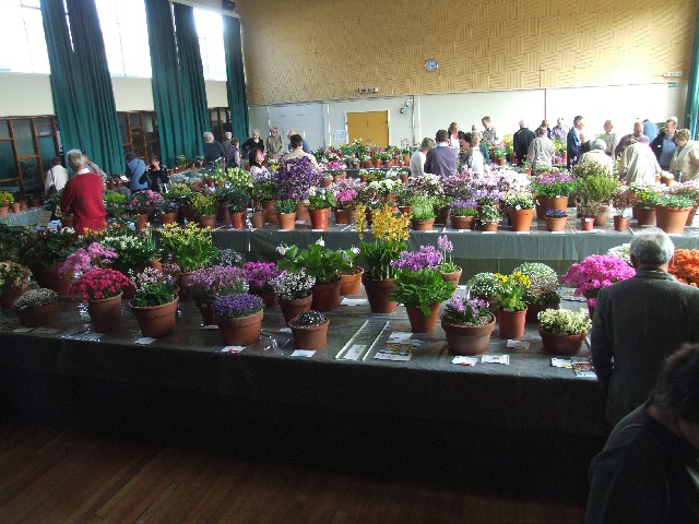 The show is in full swing