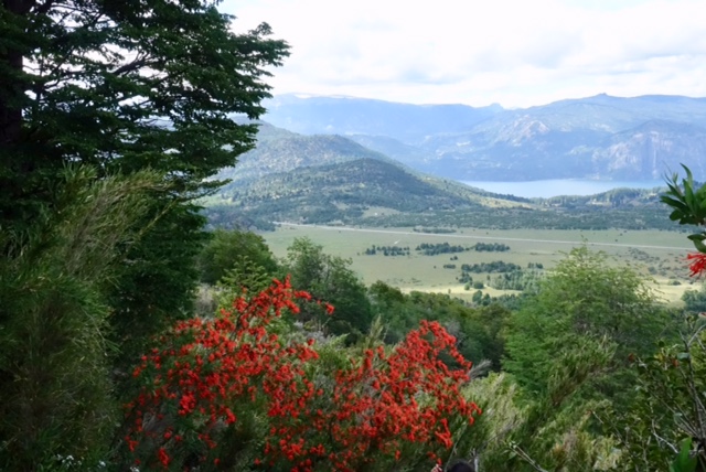 Cerro Colorado 